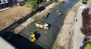 Asar deresi temizleniyor