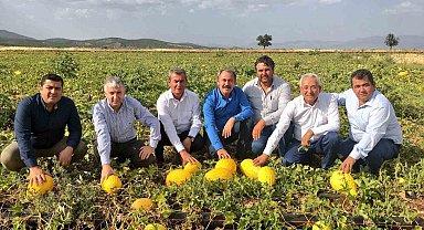 Asırlık miras Acıpayam kavunu tescillendi