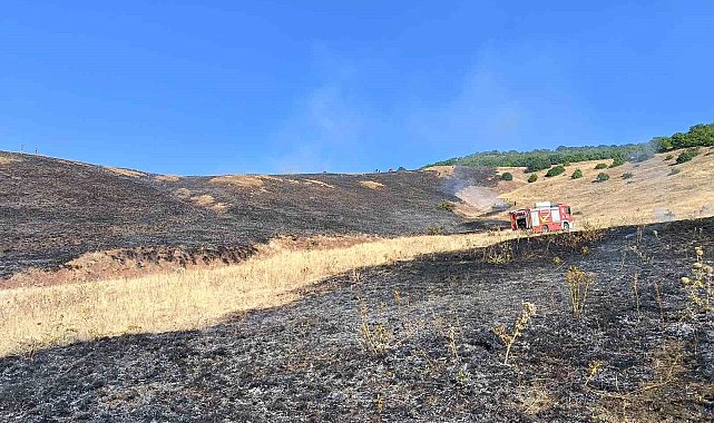 Aşkale Güneyçam Köyü'nde anız yangını: 100 dönüm alan kül oldu