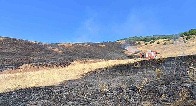 Aşkale Güneyçam Köyü'nde anız yangını: 100 dönüm alan kül oldu