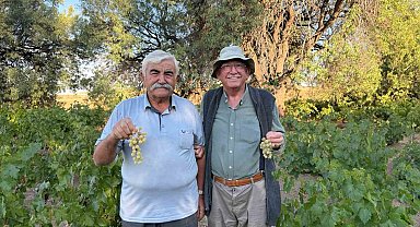 Ata tohumundan elde edilen üzümler lezzetiyle dikkat çekiyor