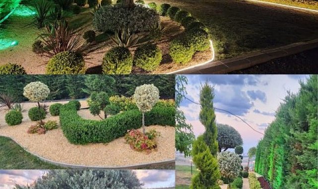 Atakum'un peyzaj şampiyonları açıklandı