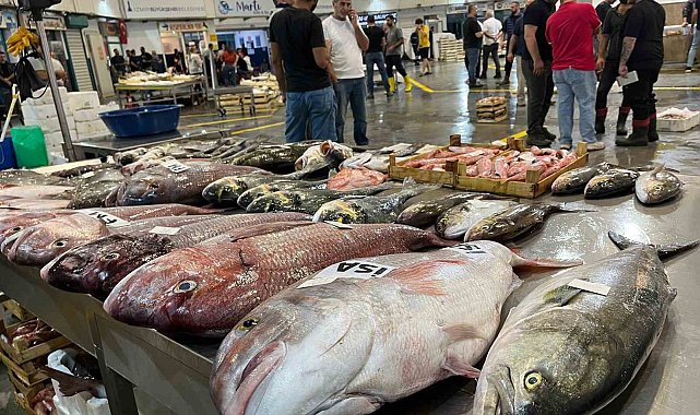 Av sezonu başladı, İzmir Balık Hali bereketle doldu