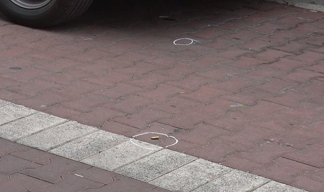 Avcılar'da iki yıl önce zıpkınla vurduğu abisini bu defa kurşunladı