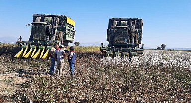 Aydın'da pamuk toplama fiyatı belirlendi