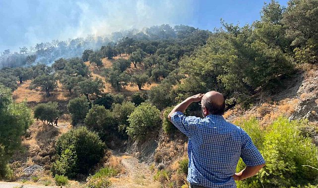 Aydın'da zirai alan yangını: 30 dönüm alan zarar gördü