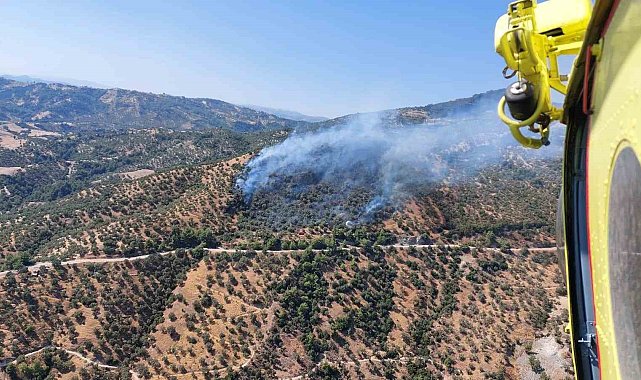 Aydın'daki zirai alan yangınına havadan ve karadan müdahale sürüyor
