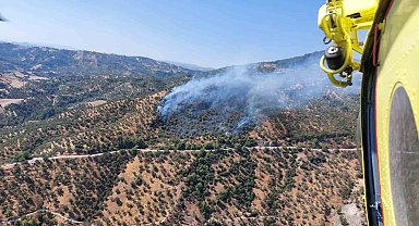 Aydın'daki zirai alan yangınına havadan ve karadan müdahale sürüyor