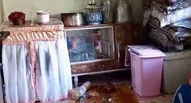 Ayılar yerleşim alanlarına indi, yöre halkı endişeli