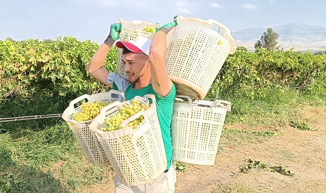 Bağların Herkül'ü 120 kilo taşıdı