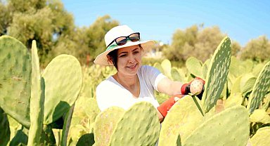 Bahçeyi kurarken alay konusu oldular, şimdi 10 ton ürünün tamamını yurt dışına veriyorlar