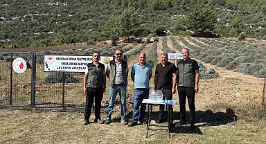 Bakımını yapan kullanım hakkını elde edecek