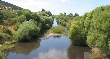 Bakırçay Ovası'nı kuraklık vurdu