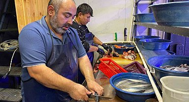 Balık sezonu bereketli başladı