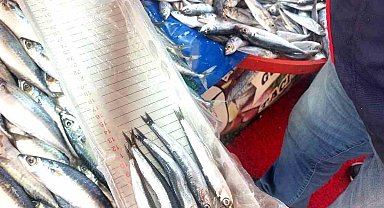 Balıkçı esnafına yönelik denetim