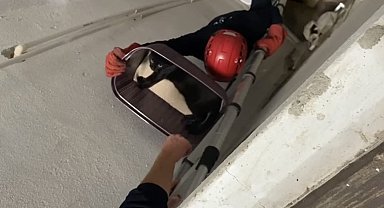 Balıkesir'de apartman boşluğuna düşen kedi yaralı olarak kurtarıldı
