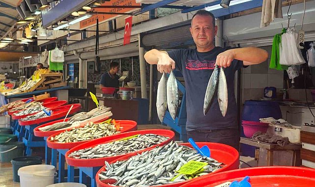 Balıkta bolluk beklentisi soğuklara kaldı