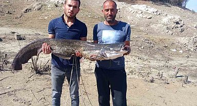 Baraj gölünde dev yayın balığı yakaladılar