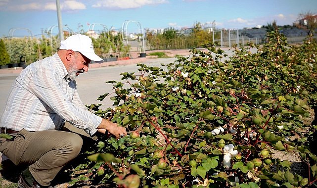 Başkan Çolakbayrakdar: "Türkiye'nin en kapsamlı fidanlığıyla Kayseri'nin yeşil dokusu zenginleşiyor"