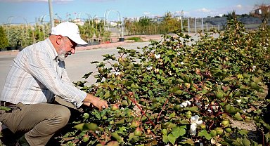 Başkan Çolakbayrakdar: "Türkiye'nin en kapsamlı fidanlığıyla Kayseri'nin yeşil dokusu zenginleşiyor"