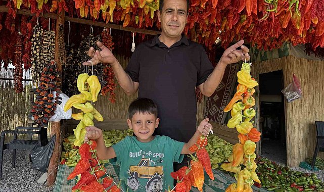 Başkan Sağınç tescilli Kale Biberini tanıtmak için ailesiyle birlikte kolları sıvadı