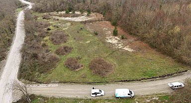 Başkan Yardımcısı Yıldız: "Bu hayvanlar, can dostlarımız"