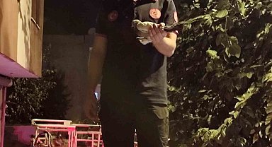 Batman'da ağaçta asılı kalan güvercin itfaiye ekiplerince kurtarıldı