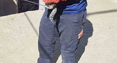 Batman'da duvar arasına sıkışan kediyi itfaiye kurtardı