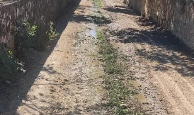 Bayırköy Belediyesi'nden kanal temizliği