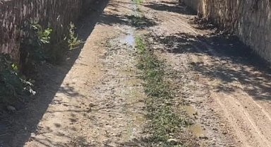 Bayırköy Belediyesi'nden kanal temizliği