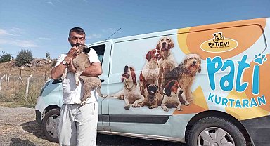 Belediye ekipleri nefes kesen operasyonla yavru köpeği kurtardı