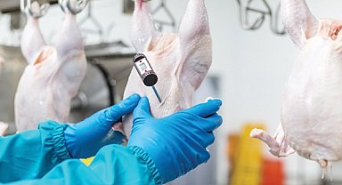 Beyaz et sektöründe rekabet ihlali! 3,7 milyar TL ceza ve sektörel düzenleme