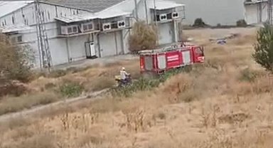 Beypazarı'nda otluk alanda yangın