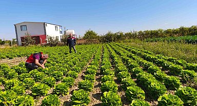 Beyşehir'de bitkisel üretim takip altında