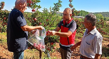 Beyşehir'de hasat öncesi pestisit denetimleri