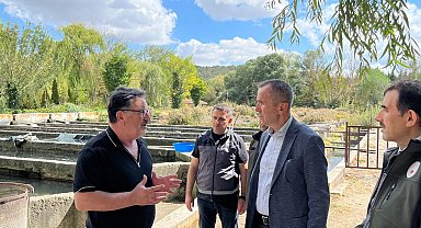 Bilecik Bozüyük'te alabalık tesislerine ziyaret