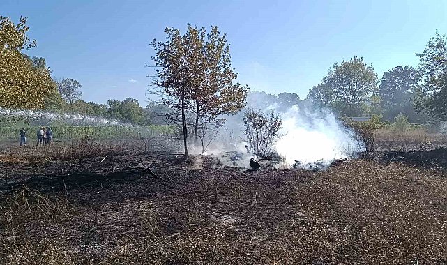 Bilecik Pazaryeri'nde arazi yangını çıktı