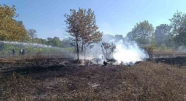 Bilecik Pazaryeri'nde arazi yangını çıktı