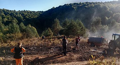 Bilecik Pazaryeri'nde alevler ormana ulaşmadan söndürüldü