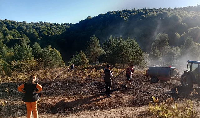 Bilecik Pazaryeri'nde alevler ormana ulaşmadan söndürüldü