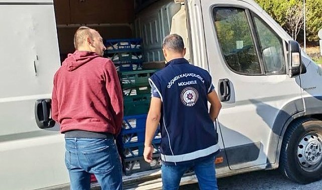 Bilecik'te düzensiz göç denetimi