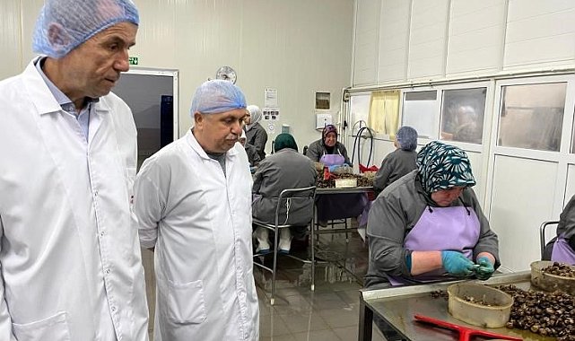 Bilecik'te kırsal kalkınma yatırımlarına destek sürüyor