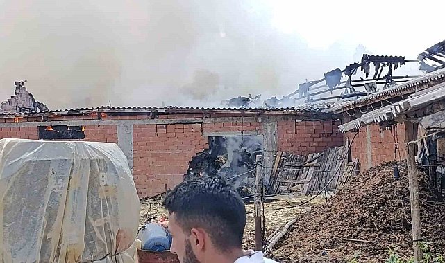 Bilecik'te samanlık alanda yangın çıktı