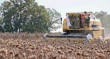 Bilecik'te yağlık ayçiçeği ekim alanı 60 bin dekardan 111 bin dekara yükseldi
