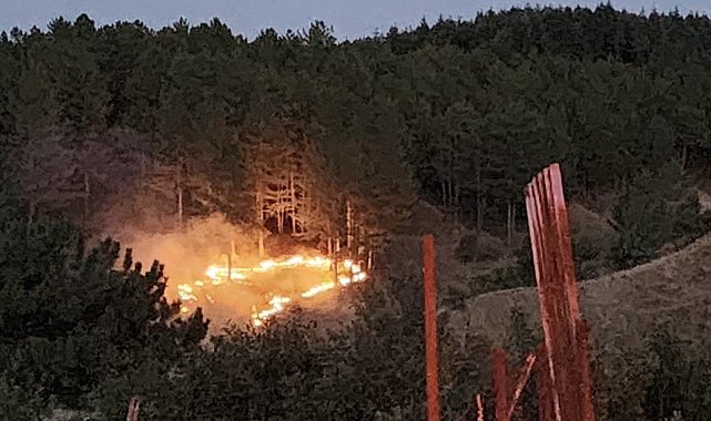 Bingöl'de çıkan orman yangını kontrol altına alındı