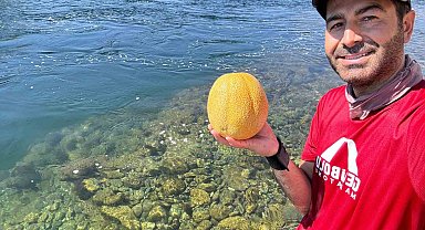 Bingöl'de doğa tutkunundan su altında meyve keyfi