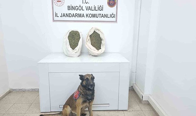 Bingöl'de jandarma ekipleri 10 kiloya yakın esrar ele geçirdi