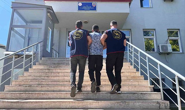 Bingöl'de kesinleşmiş hapis cezası bulunan şahıs yakalandı