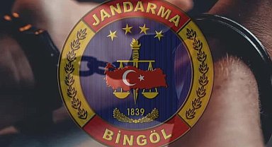 Bingöl'de kesinleşmiş hapis cezası bulunan zanlı yakalandı