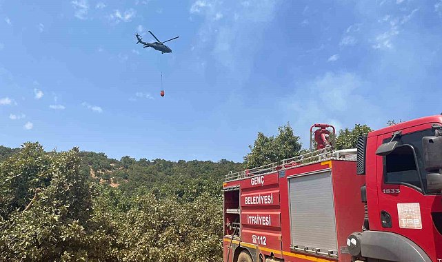 Bingöl'de orman yangını: Havadan karadan müdahale sürüyor